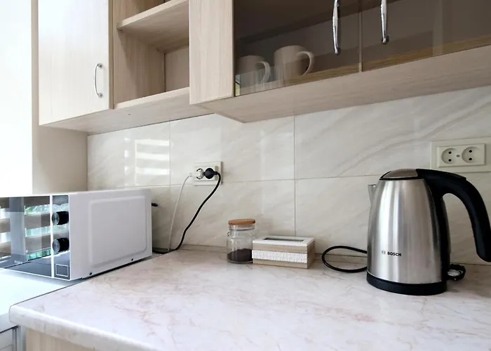 Apartament Buk On Doroshenka 25 Lwów